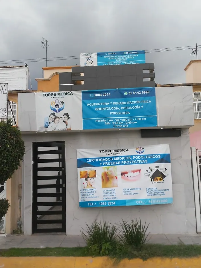 Torre Medica las Americas
