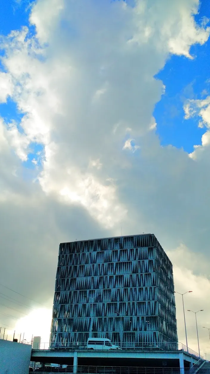 Torre Olmo